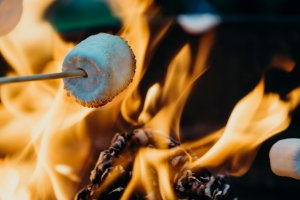 Smores are a part of campfire cooking 101