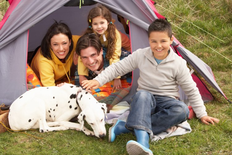 8 Tips for Camping with Pets