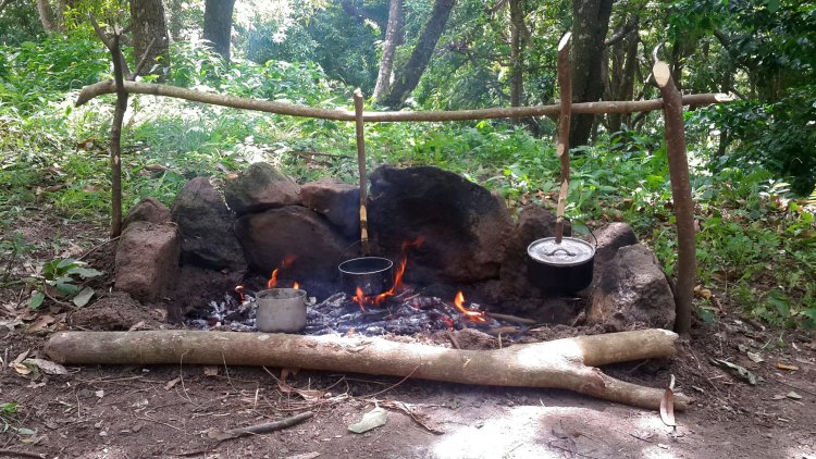 How to Build a Campfire for Cooking