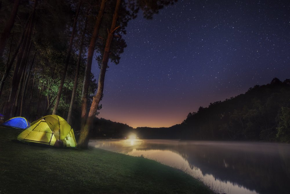 Repel Mosquitos from Your Campsite, Naturally