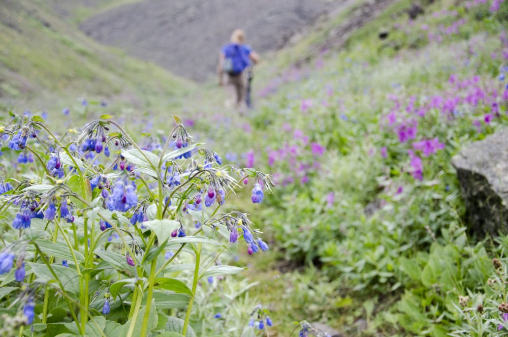 Inspiration for the (Female) Adventurer’s Soul