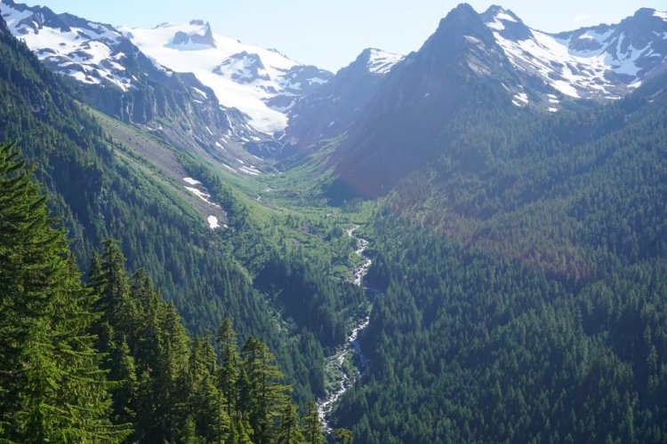 Hiking the Hoh Rainforest