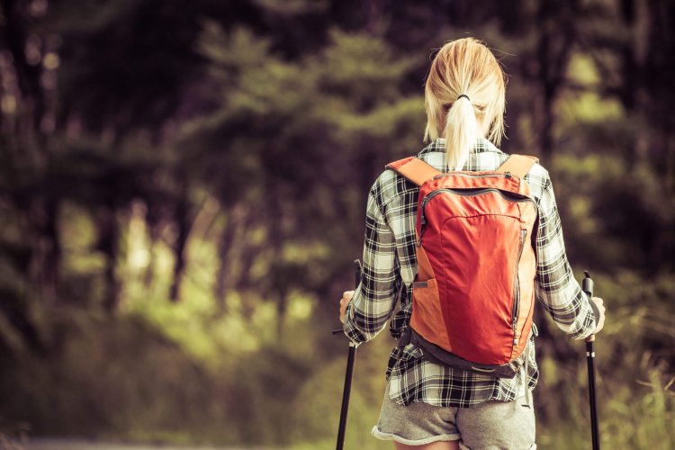 Breast Pumping in Nature Without Baby