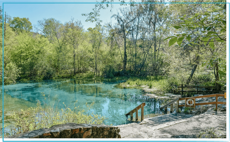 Freshwater Springs at Ichetucknee