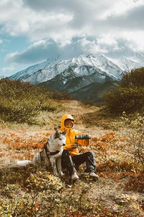 How To Hike, Backpack, and Camp Safely With Your Dog: A Guide