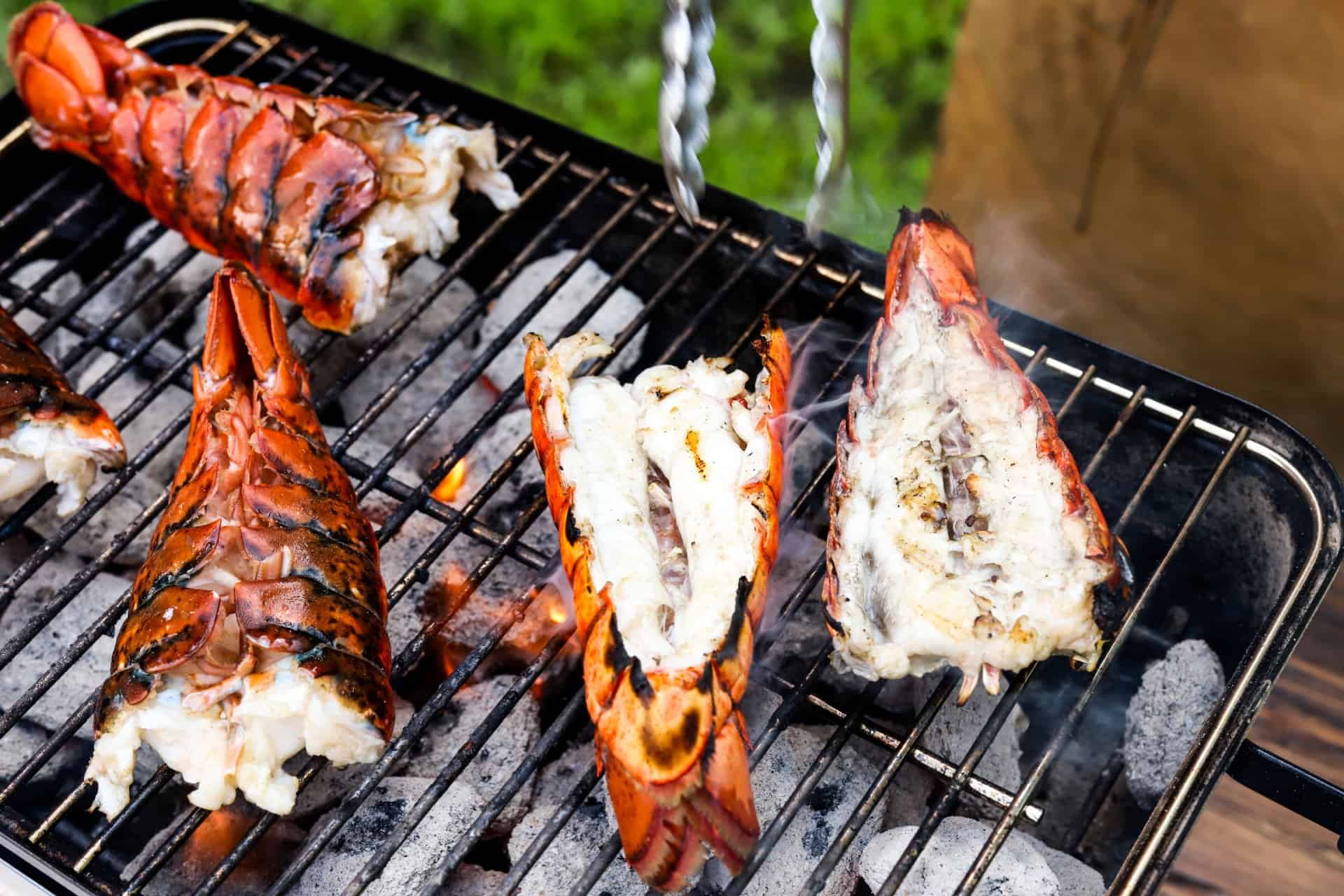 4 Delicious Lobster Grilling Ideas for Camping