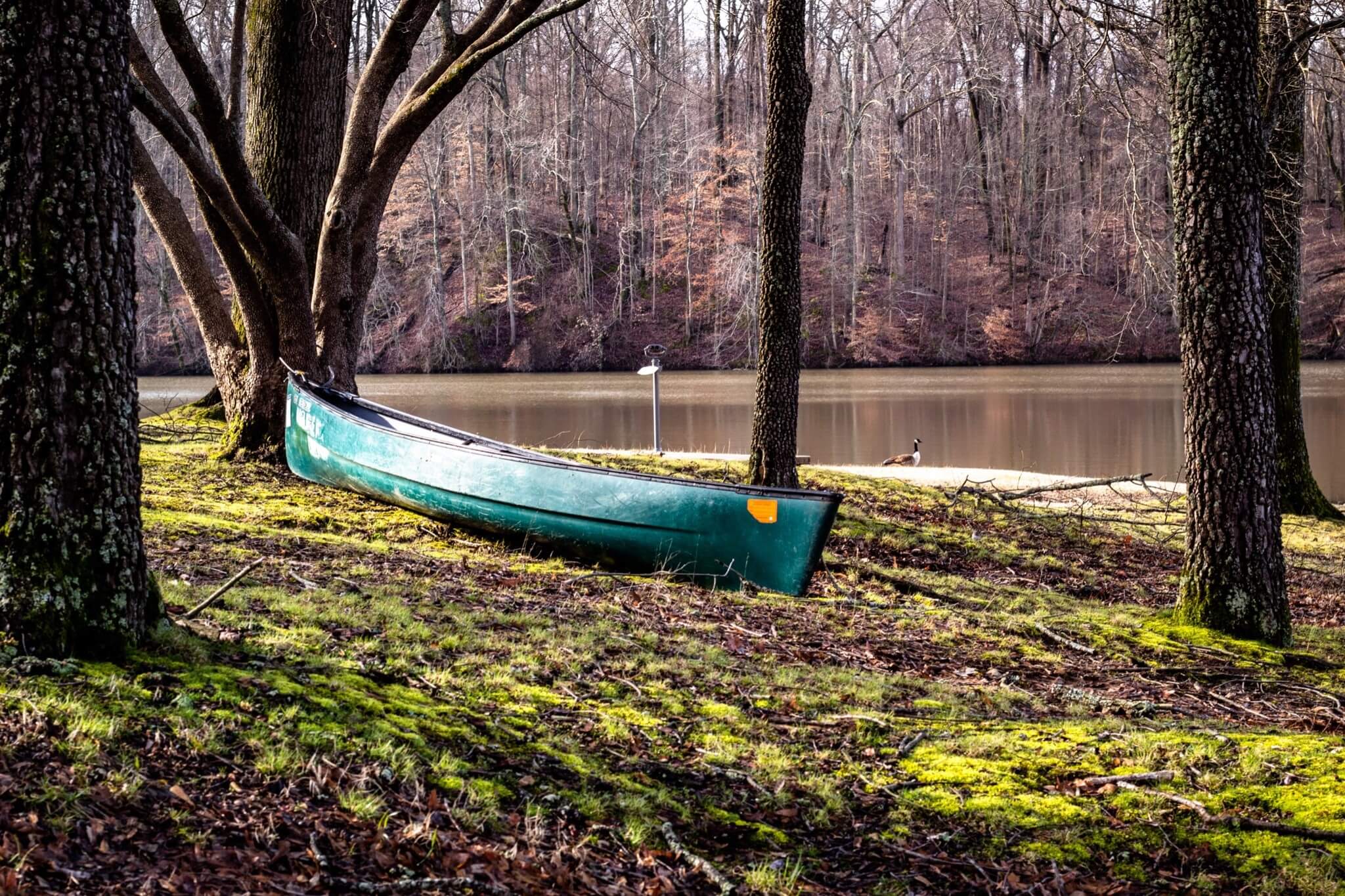 7 Tips for Enjoying US State Parks