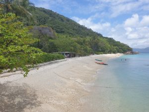 Popular Fitzroy Island off Cairns