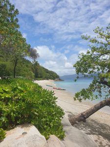 Fitzroy Island paradise