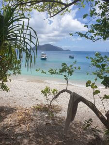 Fitzroy Island shot.