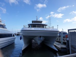 Down Under Dive tour boat